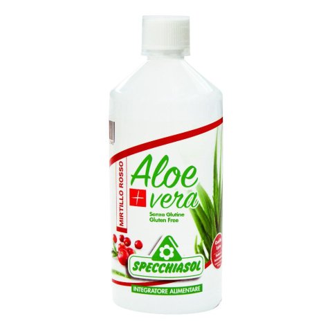 SUCCO ALOEVERA+ ALOE/MIRT R1LT SUCCO ALOEVERA+ ALOE/MIRT R1LT