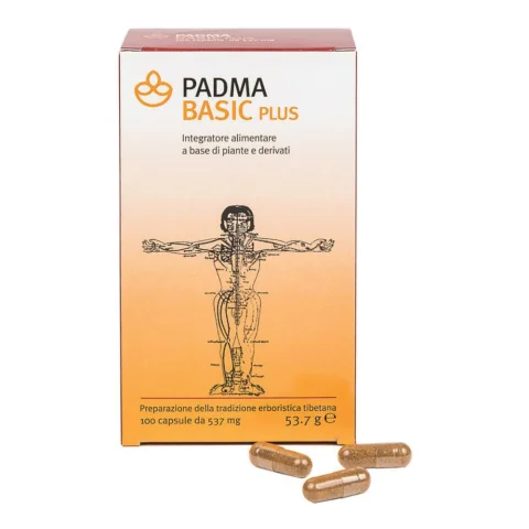 PADMA BASIC PLUS 100CPS PADMA BASIC PLUS 100CPS