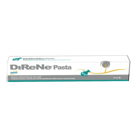 DIRENE PASTA 15ML DIRENE PASTA 15ML