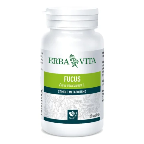 FUCUS 125TAV EBV