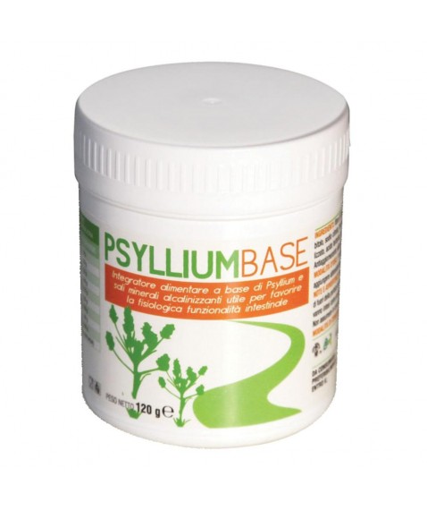 PSYLLIUM BASE POLVERE 120G AVD