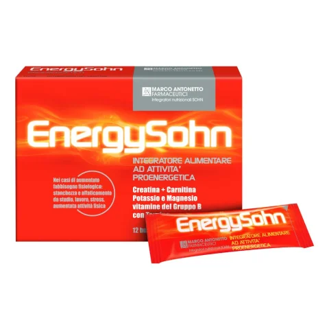 ENERGYSOHN 12 BS