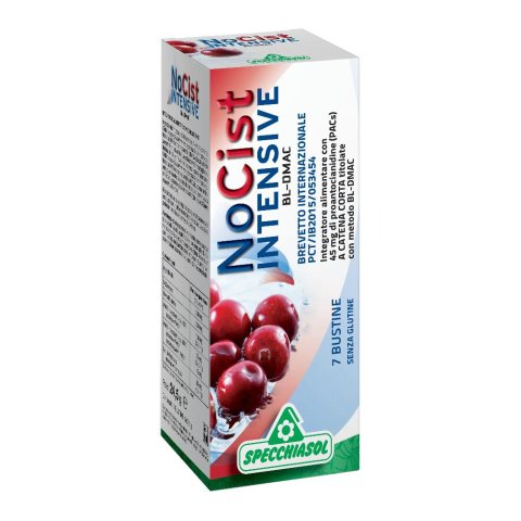 NOCIST INTENSIVE 7BUST NOCIST INTENSIVE 7BUST