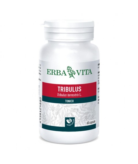 TRIBULUS TER 60CPS 500MG EBV