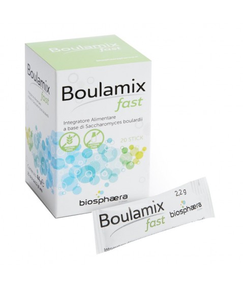 BOULAMIX FAST 20 Stick