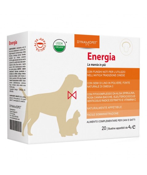 ENERGIA 20BUST 4G