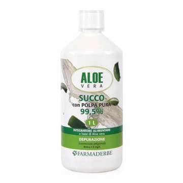 ALOE VERA SUCCO POLPA 1000ML