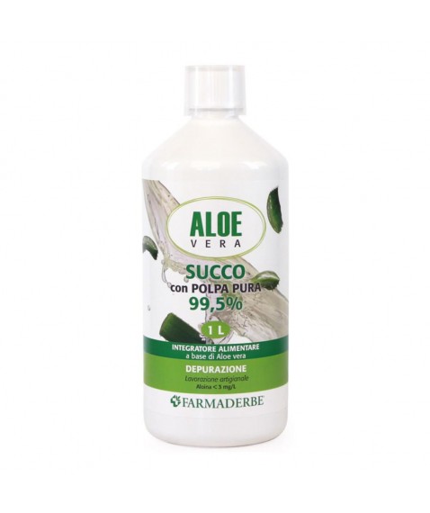 ALOE VERA SUCCO POLPA 1000ML