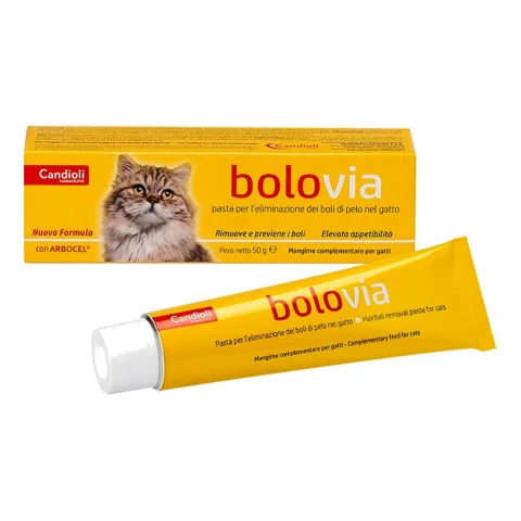 Bolo Via Pasta Gatti 50g Bolo Via Pasta Gatti 50g