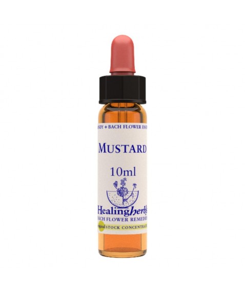 MUSTARD 20ML