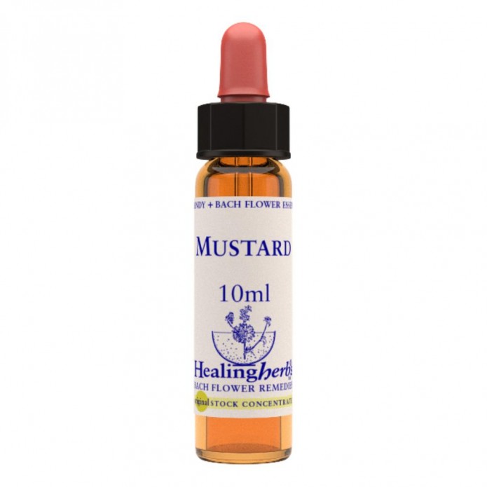 MUSTARD 20ML