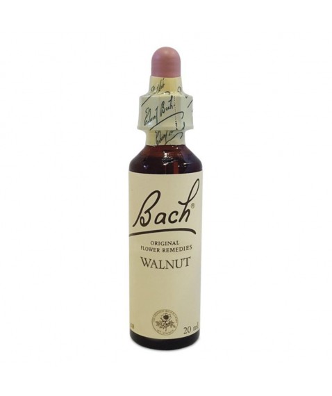 WALNUT 20ML