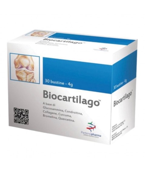 BIOCARTILAGO BS