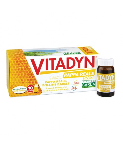 VITADYN Pappa Reale 10fl.10ml