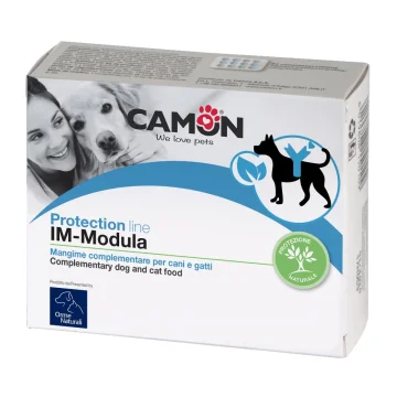 PROTECTION IM-MODULA 60 CPR