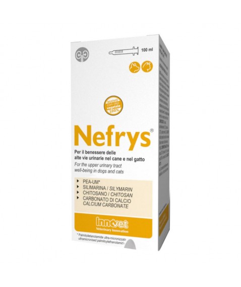 NEFRYS NEW 100 100ML C/SIR DOS