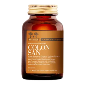 SALUGEA COLONSAN FORM POT 60 CPS SALUGEA COLONSAN FORM POT 60 CPS