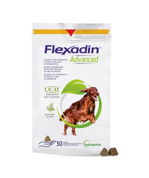 FLEXADIN ADVANCED 30TAV MASTIC