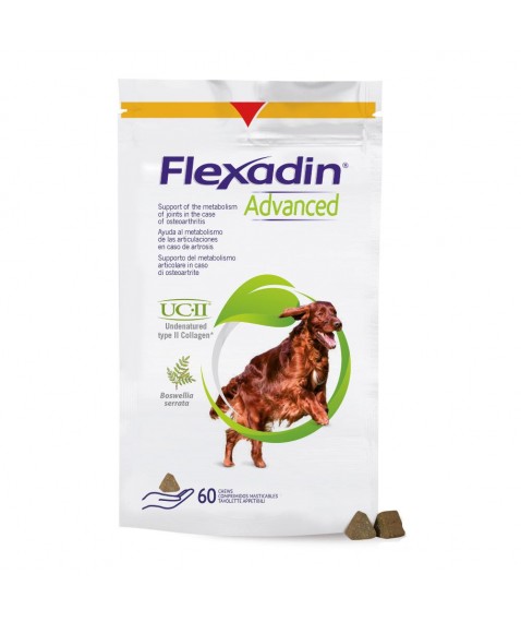 FLEXADIN Advanced Cani 60 Tav.