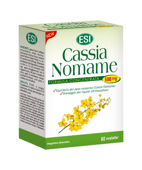 Cassia Nomame 60 Ovalette