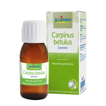 CARPINUS BETULUS MG 60ML INT BO