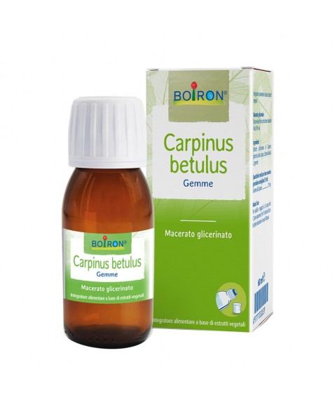 CARPINUS BETULUS MG 60ML INT BO