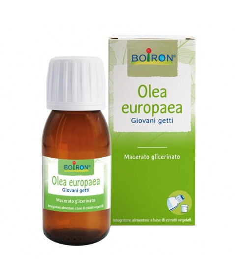 BO.OLEA EUROPEA MG 60ml