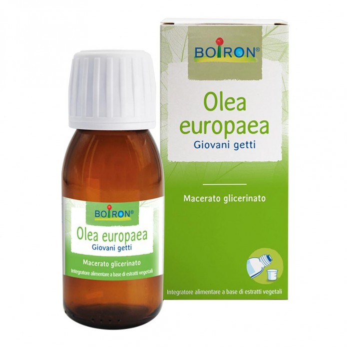 BO.OLEA EUROPEA MG 60ml