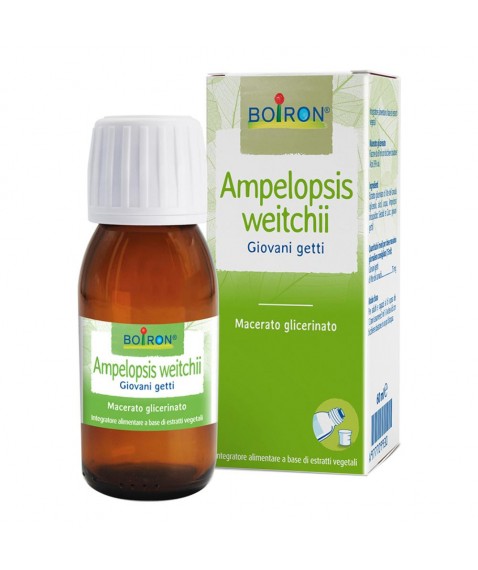 BO.AMPELOPSIS WEI MG 60ML INT