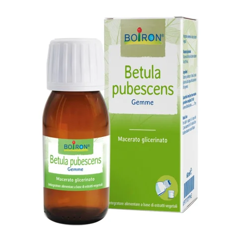 BO.BETULA PUB.MG I 60ml BO.BETULA PUB.MG I 60ml