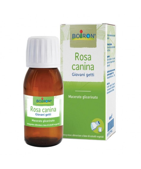 Rosa Canina Mg 60ml Int