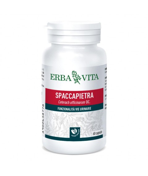 SPACCAPIETRA 60 Cps 500mg  EBV