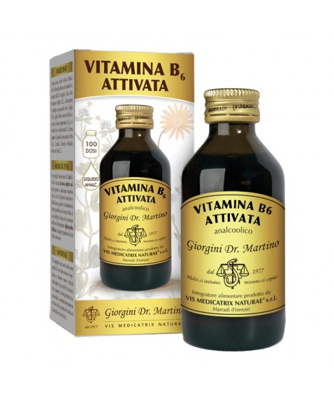 VITAMINA B 6 Att.Liq.100ml SVS