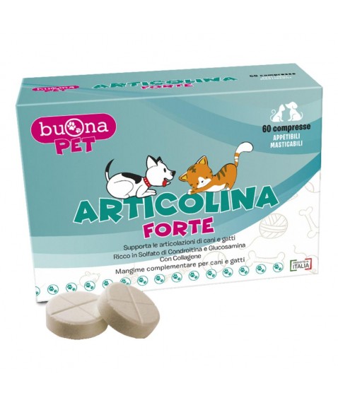 ARTICOLINA Forte 60 Cpr