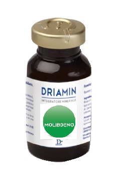 DRIATEC SRL DRIAMIN MOLIBDENO 15ML