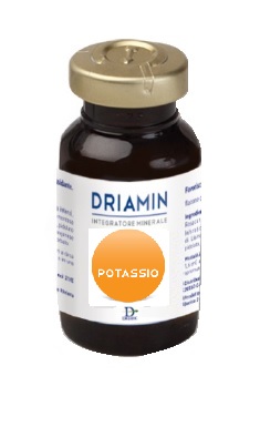 DRIATEC SRL DRIAMIN POTASSIO 15ML