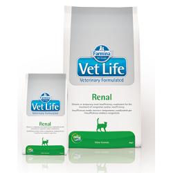 VET LIFE CAT RENAL 400 GR img