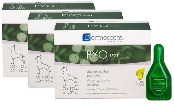 PYO Spot Cane 0-10Kg img 1