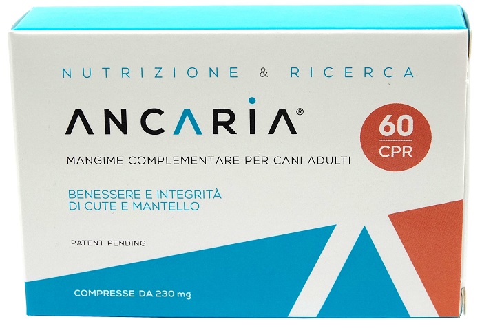 ANCARIA 60 CPR img