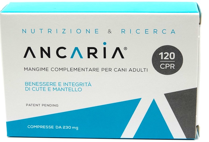 ANCARIA 120 CPR img