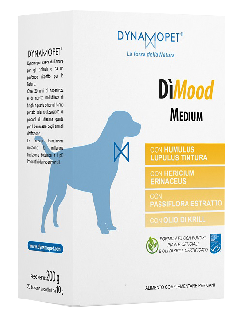 DIMOOD MEDIUM 20Bust.10g img