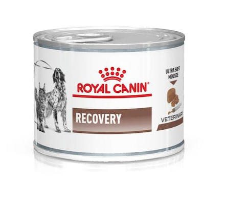 VD WET DOG&CAT RECOVERY 195G img