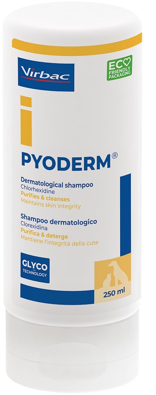 PYODERM Shampoo 250ml img