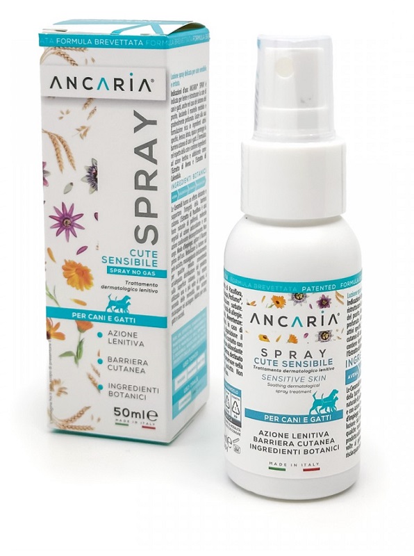 ANCARIA Loz.Spray 50ml img