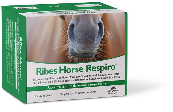 RIBES HORSE RESPIRO 10BUST img