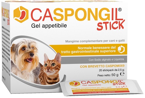 CASPONGIL STICK 20Stick Pack img