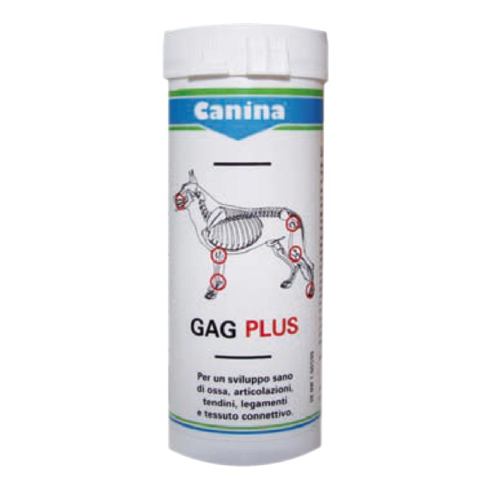 GAGPLUS 100 ca.60 Cpr img