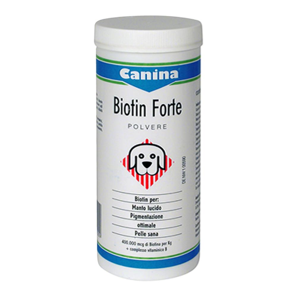 BIOTIN FORTE POLV 200G img