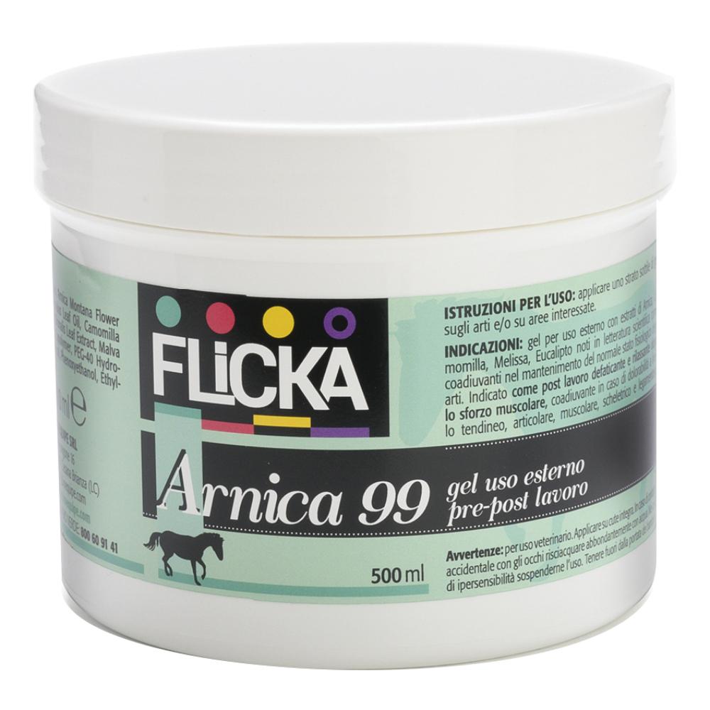 ARNICA 99 GEL PER EQUINI 500ML img